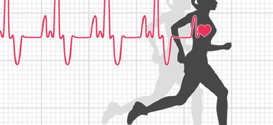 اهمیت ضربان قلب در دویدن
