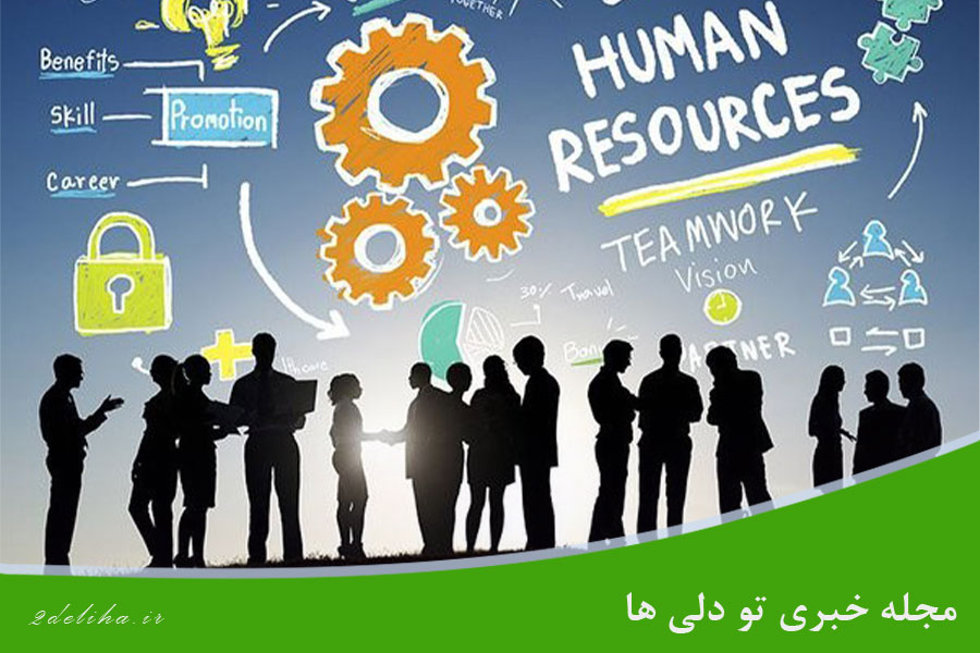 ۱۲ وظیفه اصلی منابع انسانی